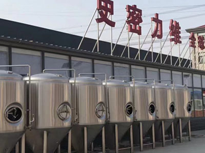 武陵源精酿啤酒设备厂—如何判断精酿啤酒设备的密封件需要更换？